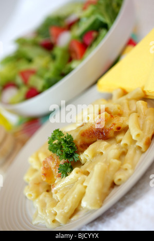 Frisch zubereiteten italienischen Stil Makkaroni Käse Pasta Mahlzeit ohne Menschen Stockfoto