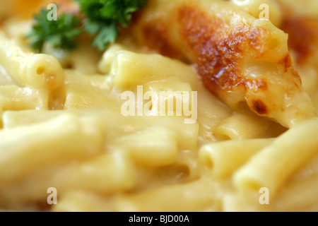 Frisch zubereiteten italienischen Stil Makkaroni Käse Pasta Mahlzeit ohne Menschen Stockfoto