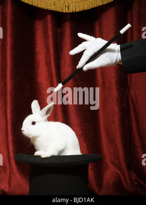 Zauberer, ein Kaninchen aus dem Hut ziehen Stockfoto