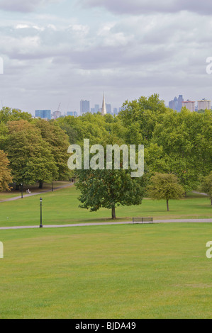 Blick vom Primrose Hill zeigt Baum im Vordergrund mit der City of London in der Ferne. Stockfoto