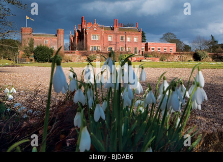 Schneeglöckchen im Hodsock Priory, Nottinghamshire Stockfoto