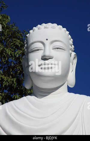 Buddha Gesicht an die Giac Lam Pagode, Saigon, Vietnam Stockfoto