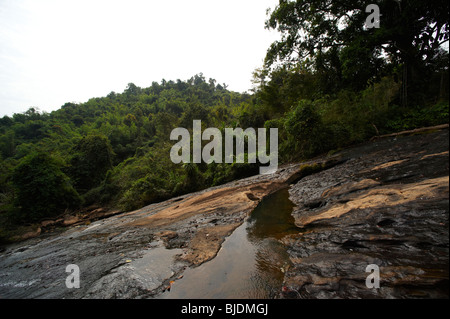 Tropischer Regenwald. Phou Khao Khouay National geschützten Bereich. LAO. Stockfoto