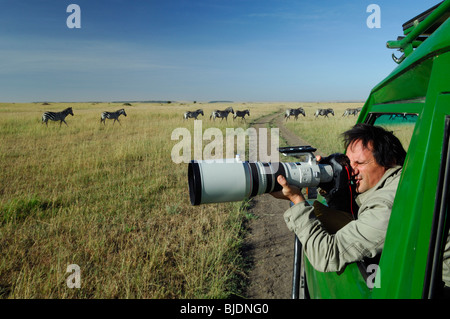 Tony Crocetta eine professionelle französische Naturfotograf shooting mit Tele-Objektiv Zebras. Kenia-Masai Mara NP Stockfoto