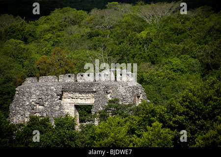 Ein Gebäude von den Maya-Ruinen von Becan in Campeche Zustand auf der mexikanischen Halbinsel Yucatan, 10. Juni 2009. Stockfoto