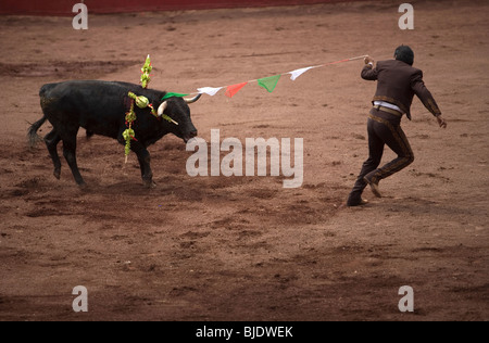 Ernesto Belmont zieht eine Reihe von Fahnen, mit der Farbe der Flagge Mexikos, beim Stierkampf in Mexiko-Stadt Stockfoto