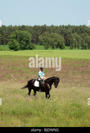 Teenager-jungen schwarzen Hengst Reiten Stockfoto