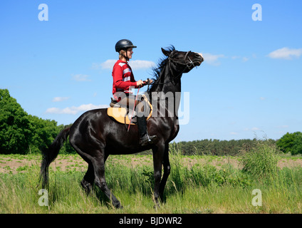 Teenager-jungen schwarzen Hengst Reiten Stockfoto