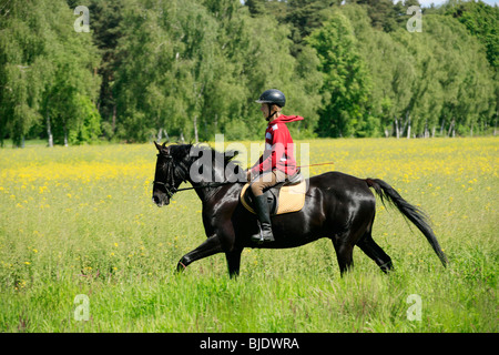 Teenager-jungen schwarzen Hengst Reiten Stockfoto