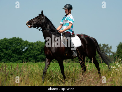 Teenager-jungen schwarzen Hengst Reiten Stockfoto