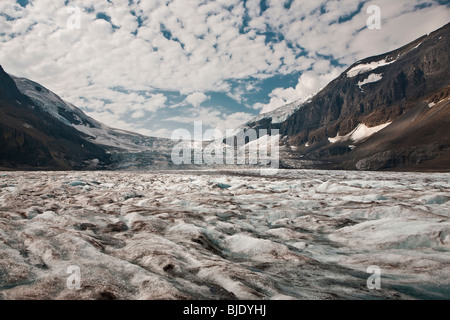 Columbia Icefield - Jasper Nationalpark, Alberta - Kanada Stockfoto