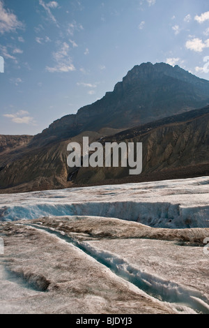 Columbia Icefield schmilzt - Jasper Nationalpark - Alberta - Kanada Stockfoto