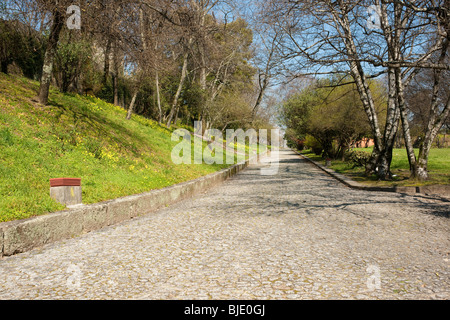 Weg durch den Park mit Bäumen und grünen Rasen gegen klar blauen Himmel Stockfoto
