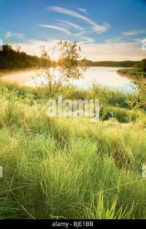 Licht des frühen Morgens in Chickakoo Lake Recreation Area, Parkland County, Alberta, Kanada Stockfoto