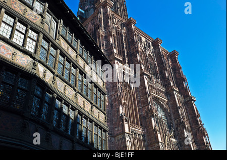 Mittelalterliches Haus Maison Kammerzell und Notre-Dame Kathedrale 14.Jahrhundert, Straßburg, Elsass, Frankreich Stockfoto