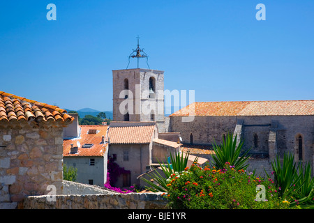 Hyères, Provence, Frankreich. Blick zum Turm von Collégiale St-Paul aus dem Parc Castel Ste-Claire. Stockfoto