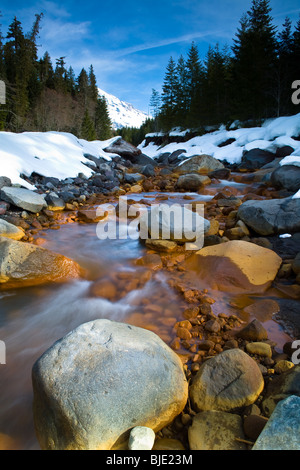 Kautz Creek ist ein Nebenfluss des Nisqually River fließt vom Kautz Gletscher im Mt. Ranier National Park.  Es ist bekannt als unberechenbar und Überschwemmungen durch die Gletscherschmelze. Stockfoto