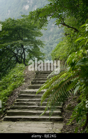 Wanderer und Pilger in Richtung Gipfel des Emei Shan, ein Heiliger Berg für Buddhisten nehmen Tausende von Treppen. Szechuan, China. Stockfoto