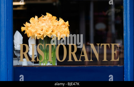 Frühling, Narzissen, italienisches Restaurant, Paddington Street, London, England, UK, Europa Stockfoto