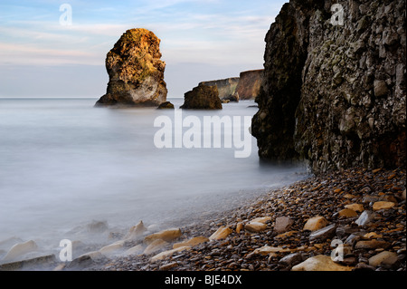 Abendlicht auf Klippen und Meer-Stacks in Marsden Bucht in der Nähe von South Shields in Tyne and Wear. Stockfoto