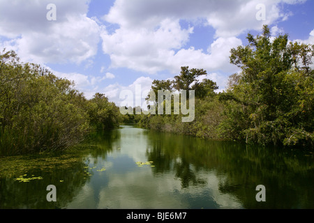 Mangroven-Fluss im Everglades Florida Querformat Stockfoto