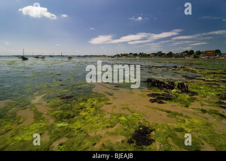 Emsworth Hafen an einem schönen Tag mit der Flut, enthüllt die alten Austernbänke entlang der Küstenlinie, mit Booten verankert Stockfoto