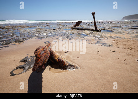 Der Anker aus dem 1869 Marie Gabrielle Schiffbruch, Moonlight Head, Great Ocean Road, Victoria, Australien Stockfoto