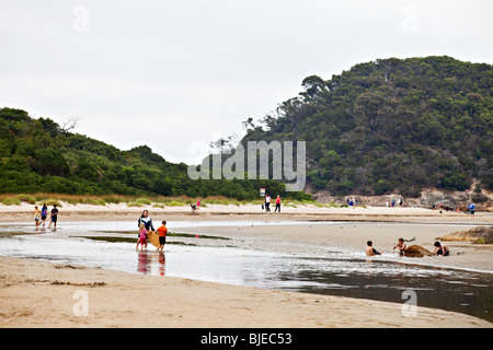 Menschen am Tidal River, Gezeiten Strand, Wilsons Promontory Nationalpark Stockfoto