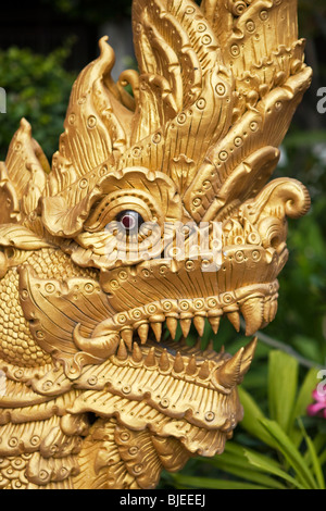 Die Naga, ein Thai Sympathieträger erscheint als eine Schlange oder Cobra außerhalb der Wat Chiang Man, Chiang Mai Thailand Stockfoto