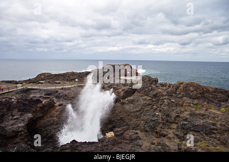 Kiama Blowhole wichtigste touristische Attraktion, NSW, Australien Stockfoto