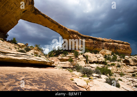 Owachomo Brücke, Natural Bridges National Monument, Utah, USA Stockfoto