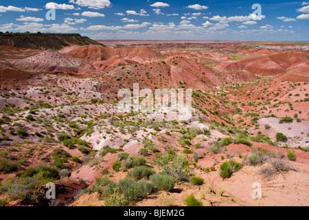 Versteinerte Forest National Park, Arizona, USA Stockfoto