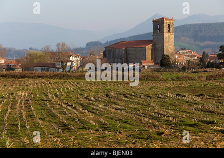 Parochiale Kirche der Santa Cruz aus dem 16. Jahrhundert mit barocken Turm in Escalante, Kantabrien, Spanien, Europa Stockfoto