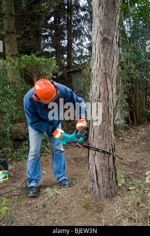 Ein Mann einen Baum mit einer Motorsäge schneiden Stockfoto