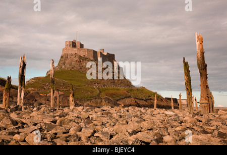 Lindisfarne Schloß, Holy Island, Northumberland, North East England am späten Nachmittag Stockfoto