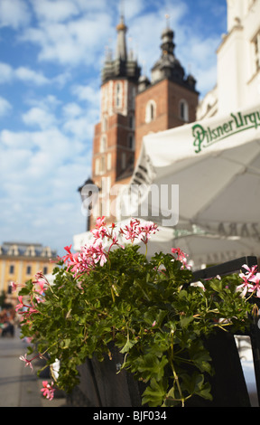 Blumen in Straßencafés im Hauptmarkt (Rynek Glowny) mit Str. Marys Kirche im Hintergrund, Krakau, Polen Stockfoto