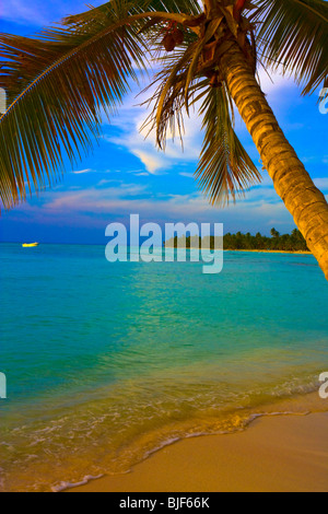 KLEINES BOOT NÄHERT SICH KARIBIK-STRAND AM ABEND. Stockfoto