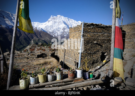 Ngawal, Nepal Stockfoto