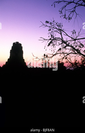 Maya-Ruinen der Tempel I, Tempel des großen Jaguar, große Plaza des UNESCO-Weltkulturerbe Tikal-Tikal, Guatemala Stockfoto
