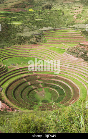 Inka Kultur Terrassen, Moray, Peru Stockfoto