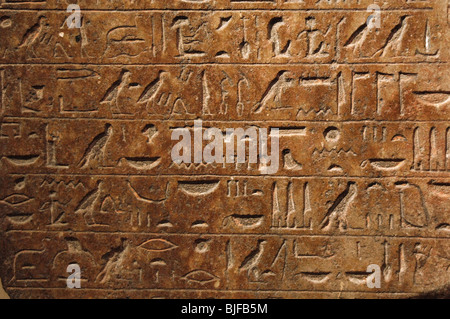 Ägyptische Kunst. Neues Reich. Dynastie XVIII. Stele mit einem Hymnus an Amun. Detail der Hieroglyphenschrift. Budapest. Ungarn. Stockfoto