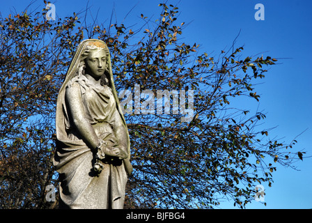 Statue einer Frau in Trauer vor dem Hintergrund der Zweige und ein blauer Himmel. Stockfoto