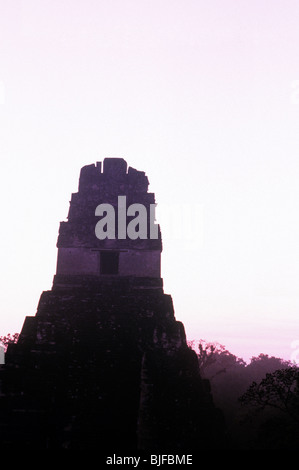 Maya-Ruinen der Tempel I, Tempel des großen Jaguar, große Plaza des UNESCO-Weltkulturerbe Tikal-Tikal, Guatemala Stockfoto