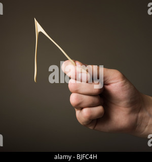 Hand hält ein Querlenker Stockfoto