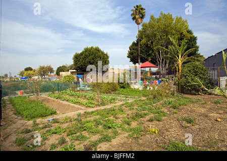 Stanford Avalon Gardens ist eine 7,6 Hektar großen Gemeinschaft Farm mit über 200 Stellplätze. Watts, Los Angeles, Kalifornien, USA Stockfoto