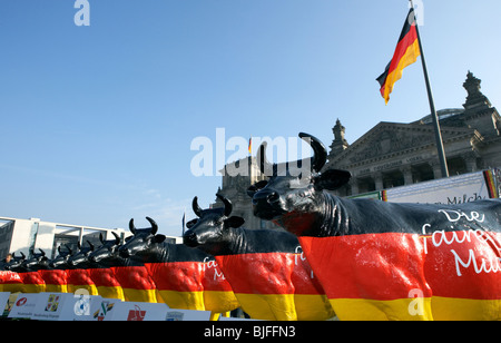 Modelle der lebensgroße Kühe vom European Milk Board vor dem Reichstag, Berlin, Deutschland Stockfoto