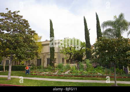 Urban Garden im Vorgarten des Hauses im gehobenen Hancock Park. Los Angeles, Kalifornien, USA Stockfoto