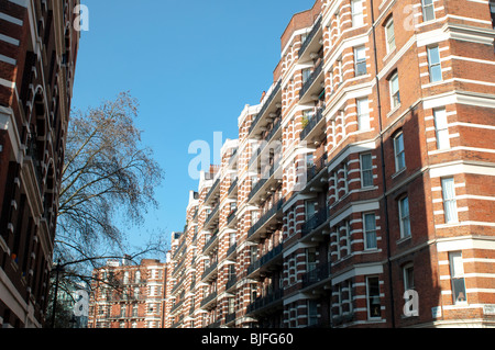 Wohnung Blöcke in Ambrosden Avenue, SW1, Victoria, Westminster, London, UK Stockfoto