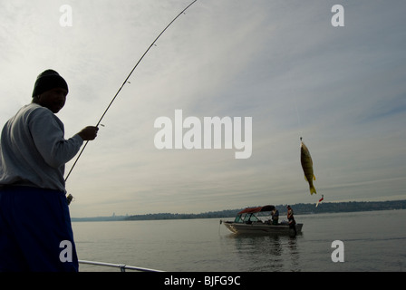 Barsch Angeln am Lake Washington in Juanita Bucht, Kirkland, Washington in der Nähe von Seattle. Stockfoto