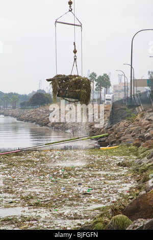 Krane, Abholung Müll Schutt nach dem ersten Regen der Saison aus Müll boom auf dem Los Angeles River in Long Beach Stockfoto